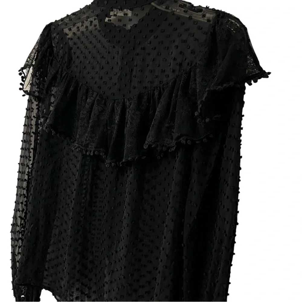 LoveShackFancy Erica SWISS DOT HIGH NECK LACE BLOUSE Ruffled Button Front Sheer - Picture 12 of 16